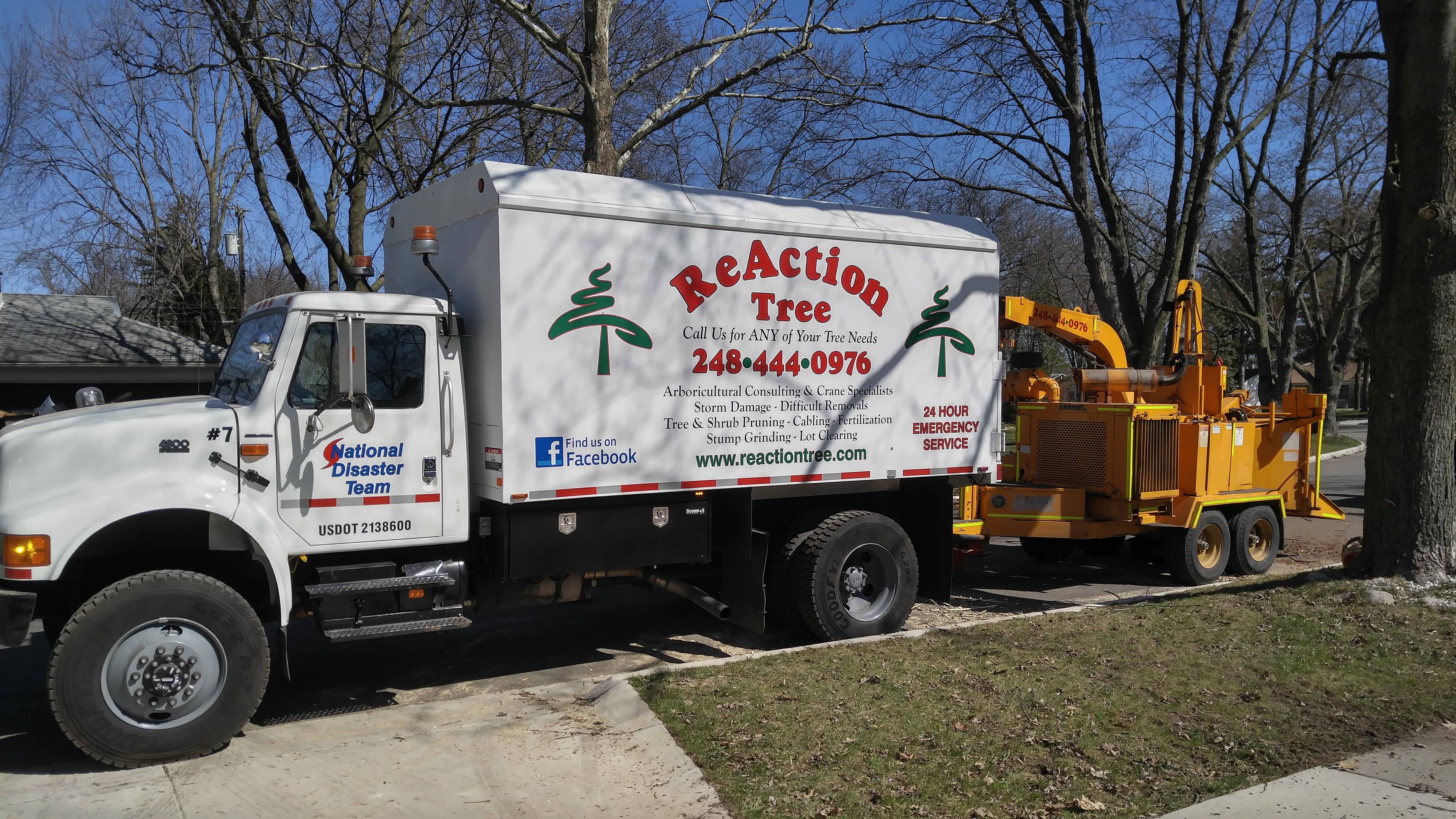 Tree care services