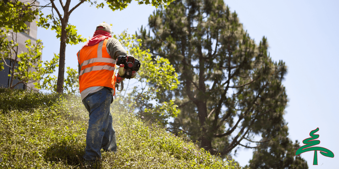 Landscape Services